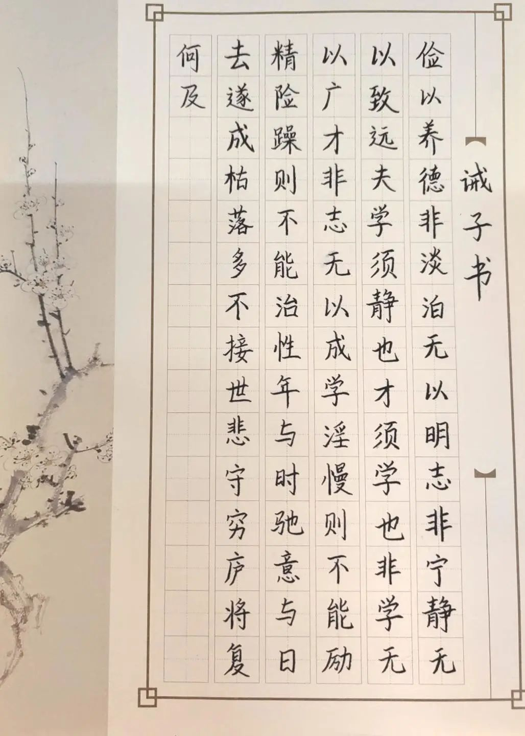 图片3.png 图片3.png