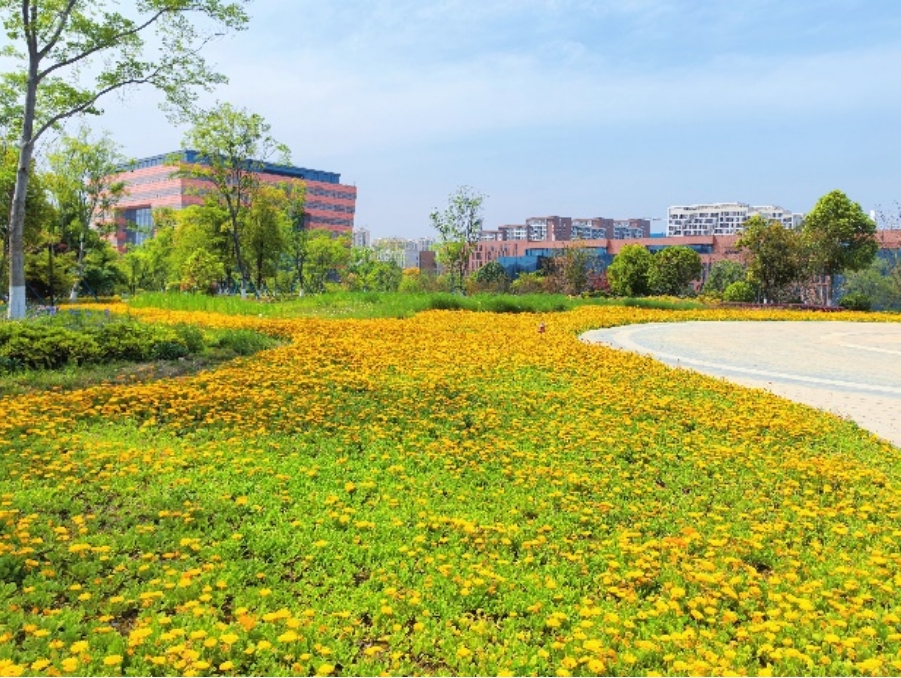 微信截图_20250424172352.jpg 微信截图_20250424172352.jpg