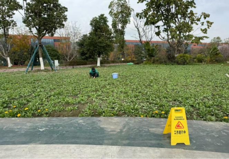 微信截图_20250424172424.jpg 微信截图_20250424172424.jpg