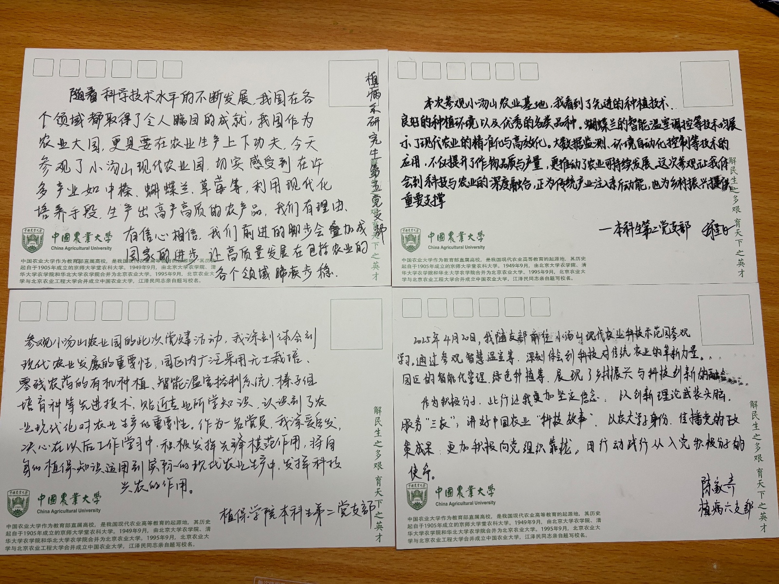 1745310556260061429.jpg 1745310556260061429.jpg