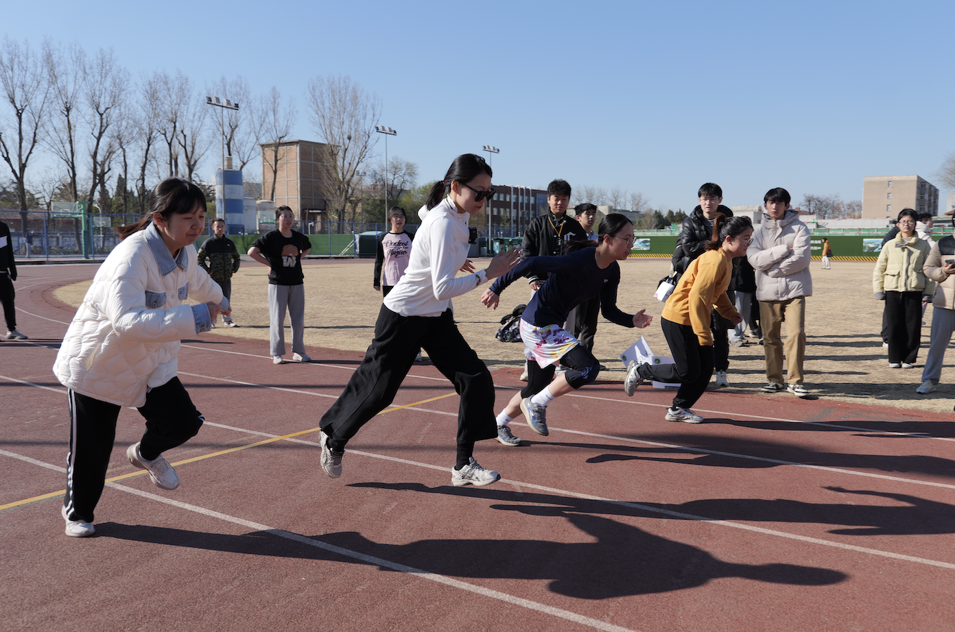 1743659496245016360.png 1743659496245016360.png