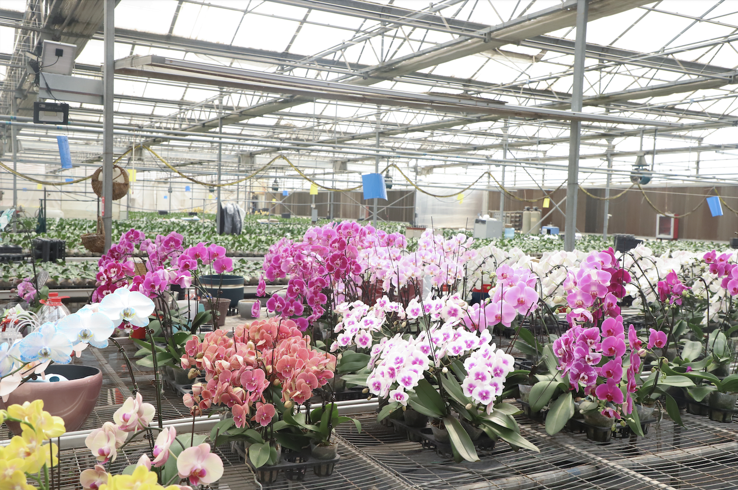 1745310081849086875.png 1745310081849086875.png