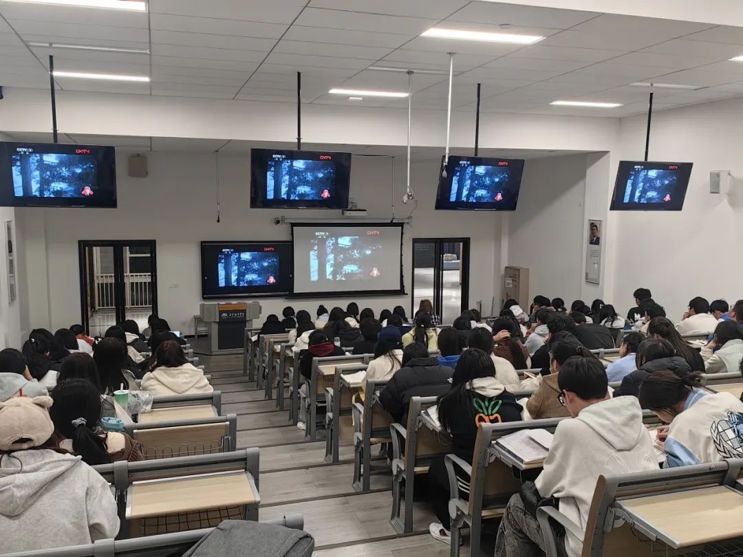 20250315/8ef3887d131b6dd3fd2a34707eb22137.jpg 8ef3887d131b6dd3fd2a34707eb22137.jpg