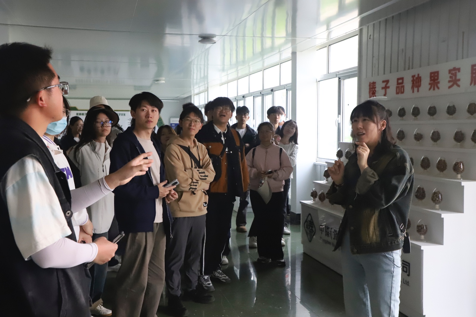 1745310366913069331.jpg 1745310366913069331.jpg