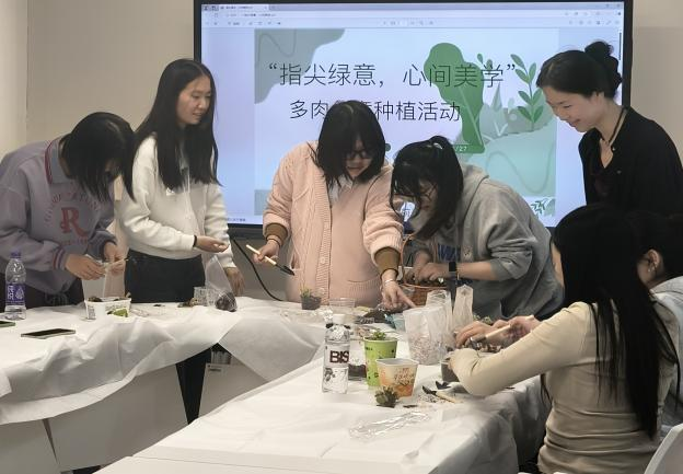 图片31.png 图片31.png