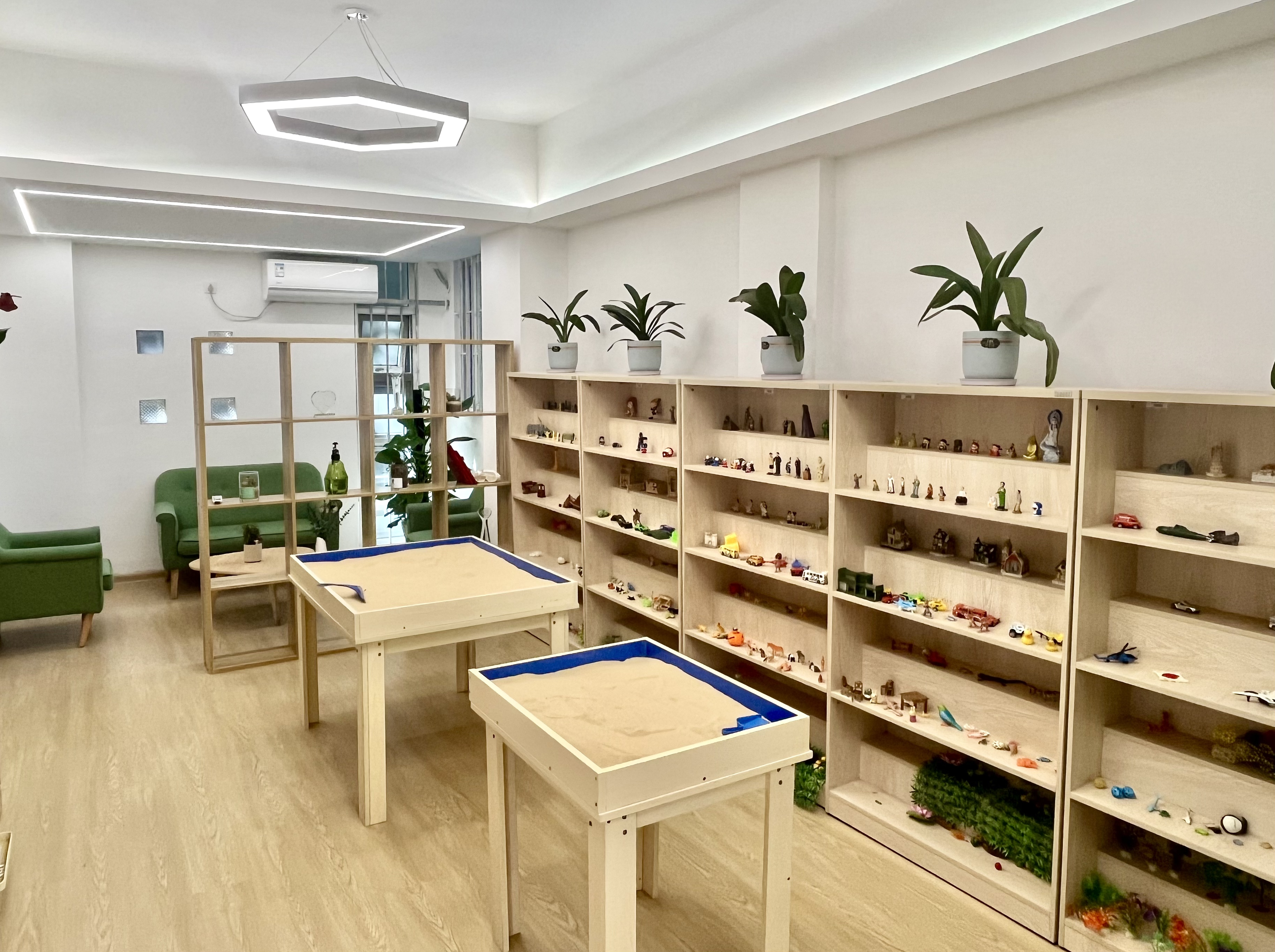 图3 依托蒋导工作室建设心理工作坊.png