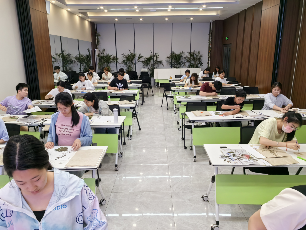 朋辈导师举办中药标本制作活动.png