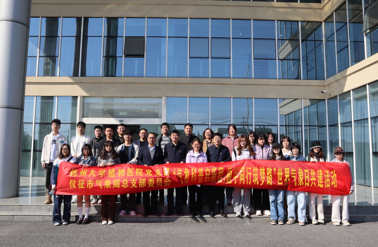 微信截图_20250425143946.png