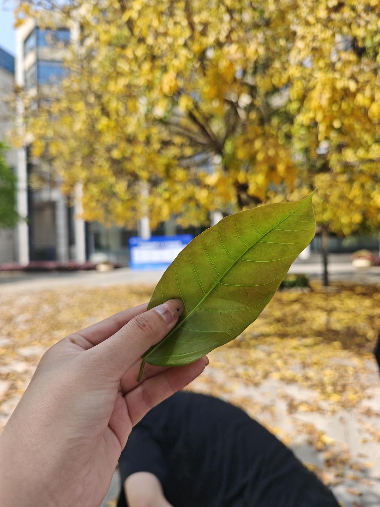 F9B0A5252D8CD4F76E6F1F434C3_3C2E5834_31501.jpg F9B0A5252D8CD4F76E6F1F434C3_3C2E5834_31501.jpg