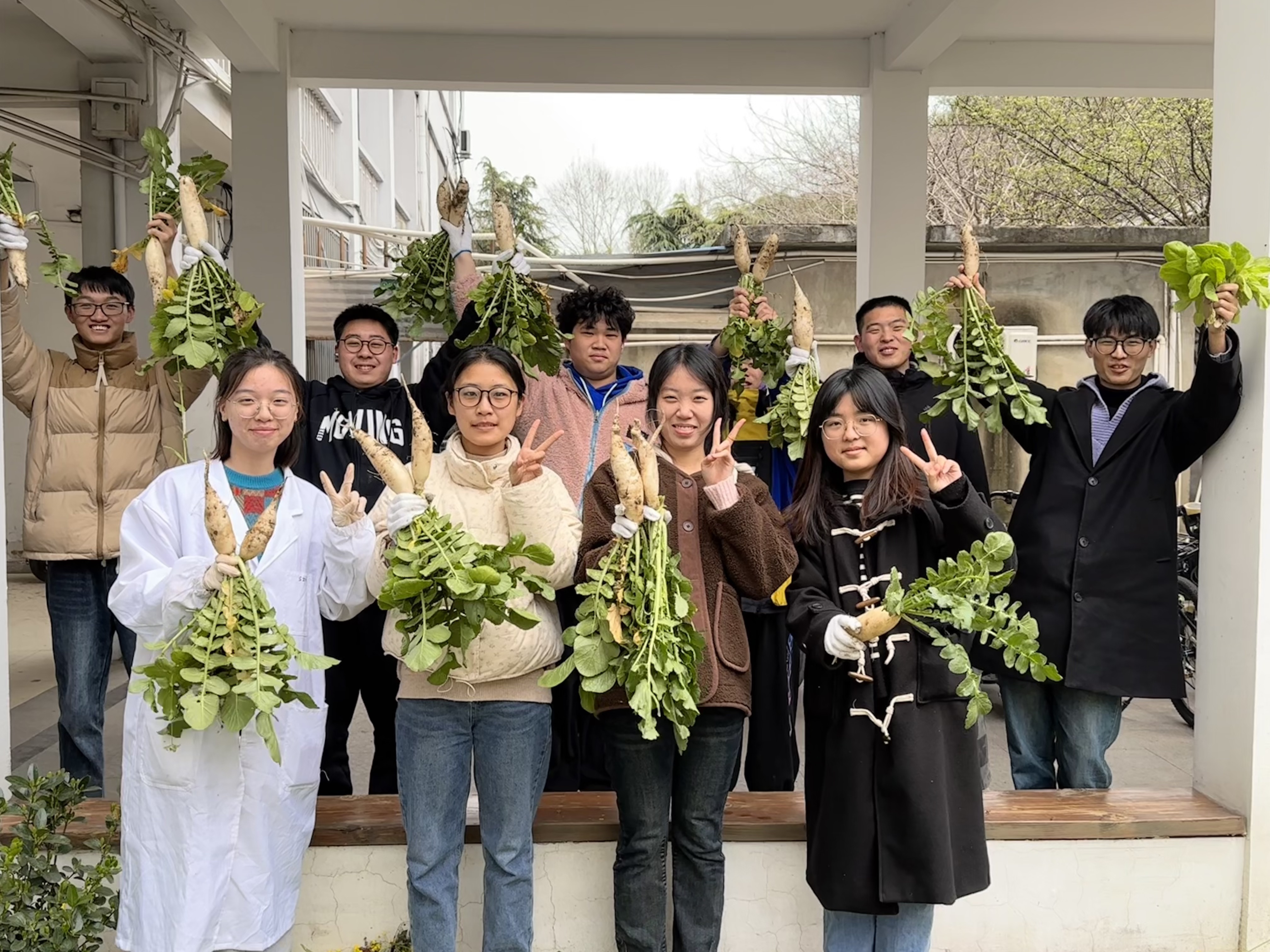植物种植.jpg