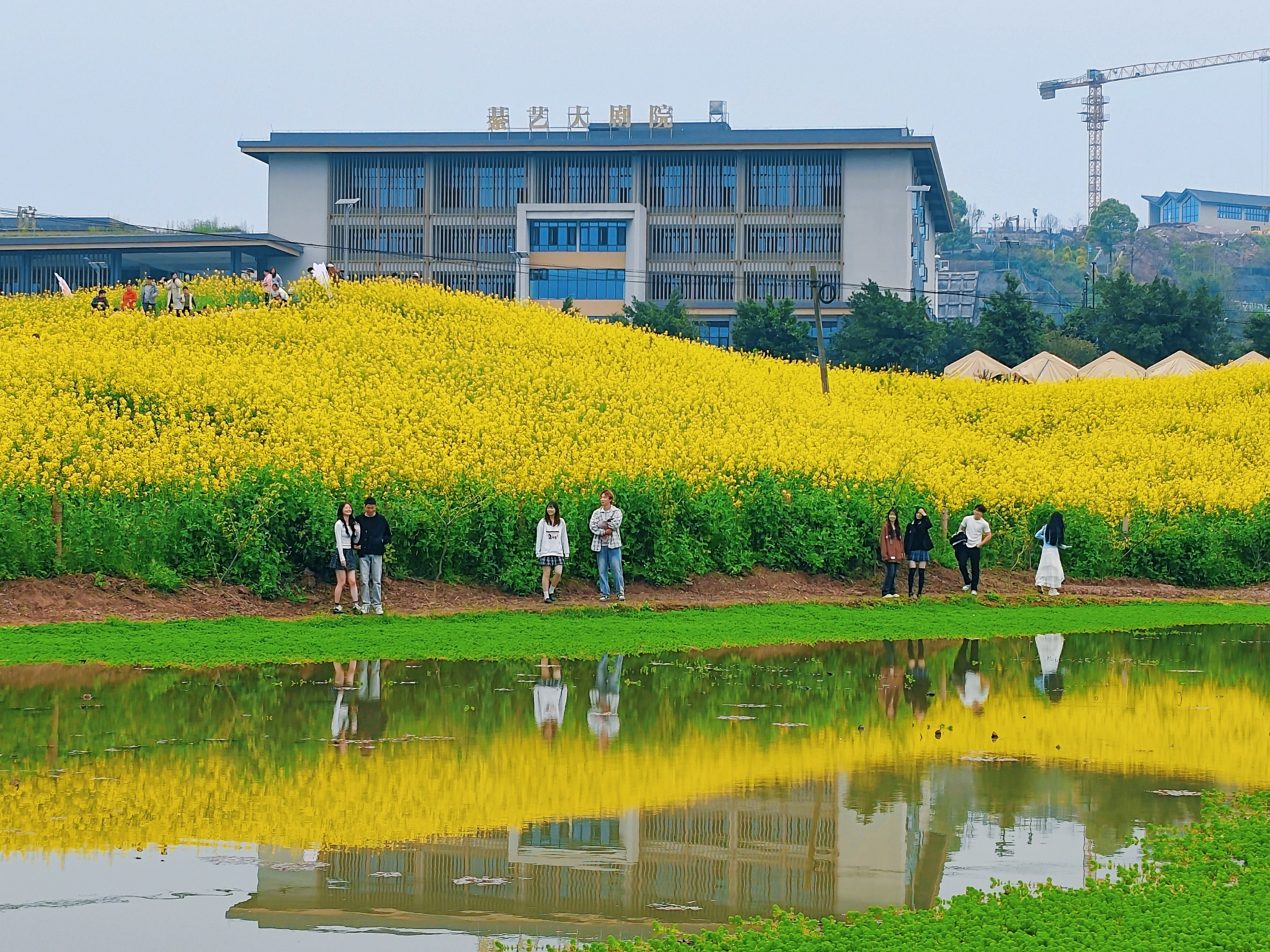 图一.jpg 图一.jpg