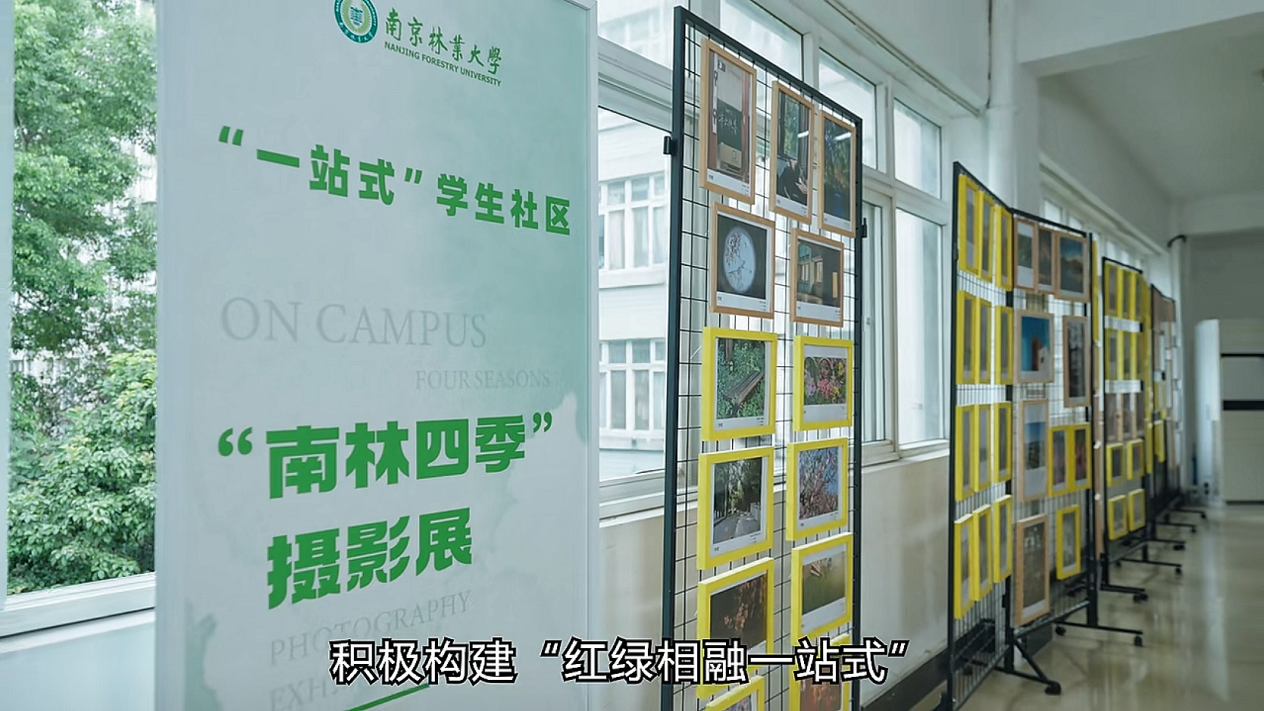 南林四季摄像展.png