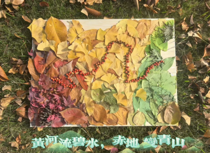 “秋叶绘林梦”活动获奖作品3.png