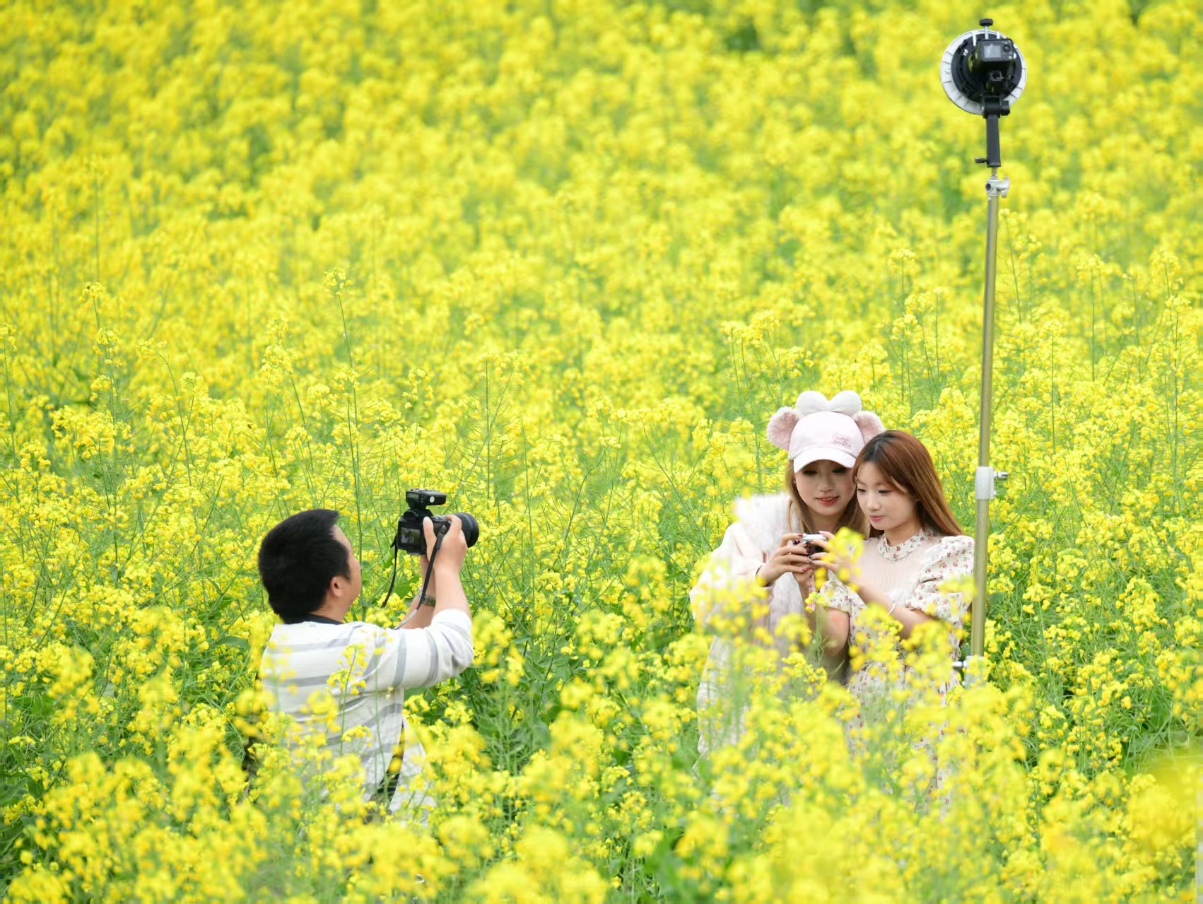 图三.jpg 图三.jpg