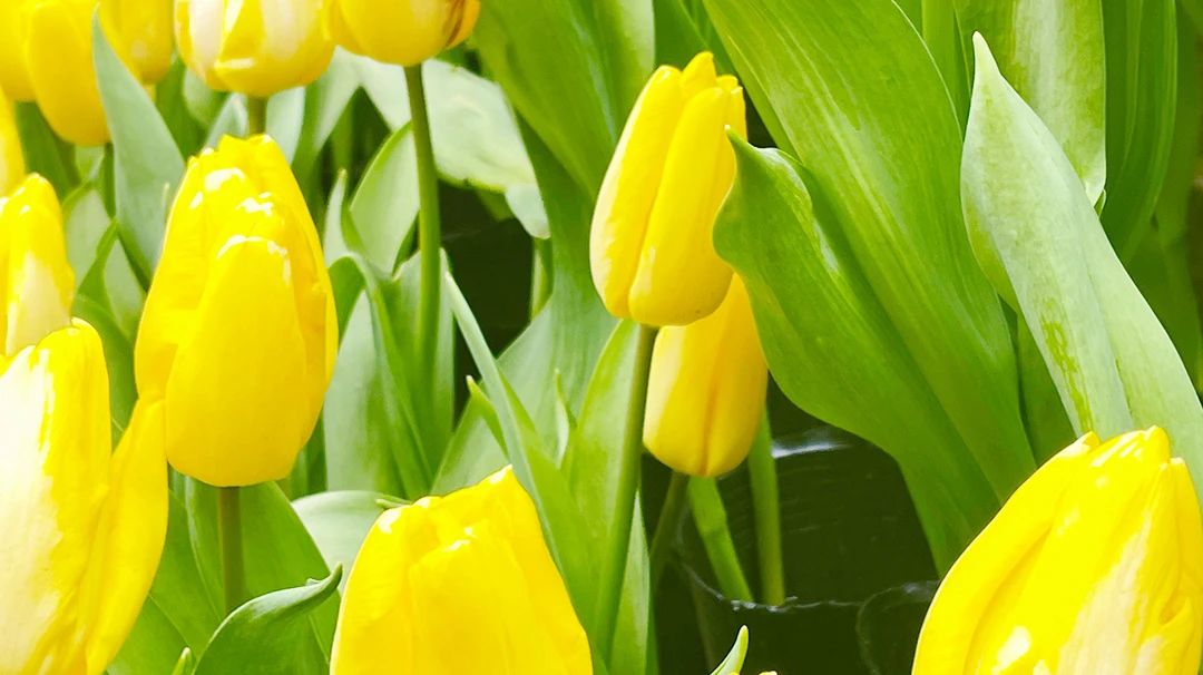 微信图片_20250427225232.jpg 微信图片_20250427225232.jpg