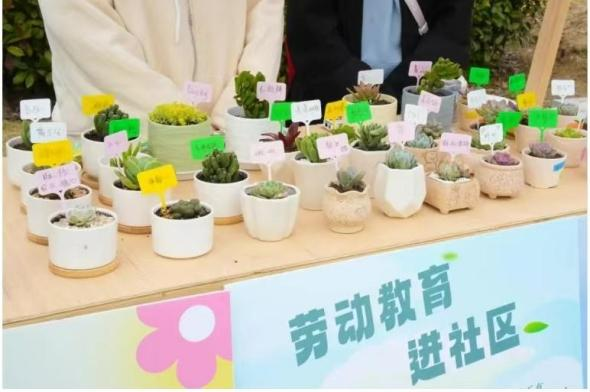 图片8.png 图片8.png