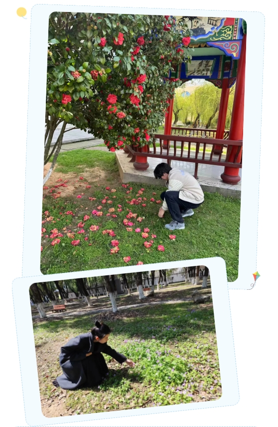 微信截图_20250427095005.png 微信截图_20250427095005.png