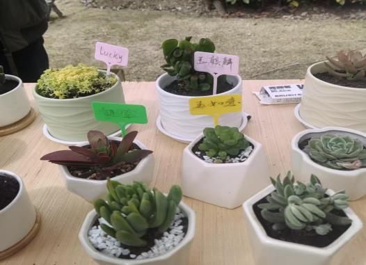 图片6.png 图片6.png