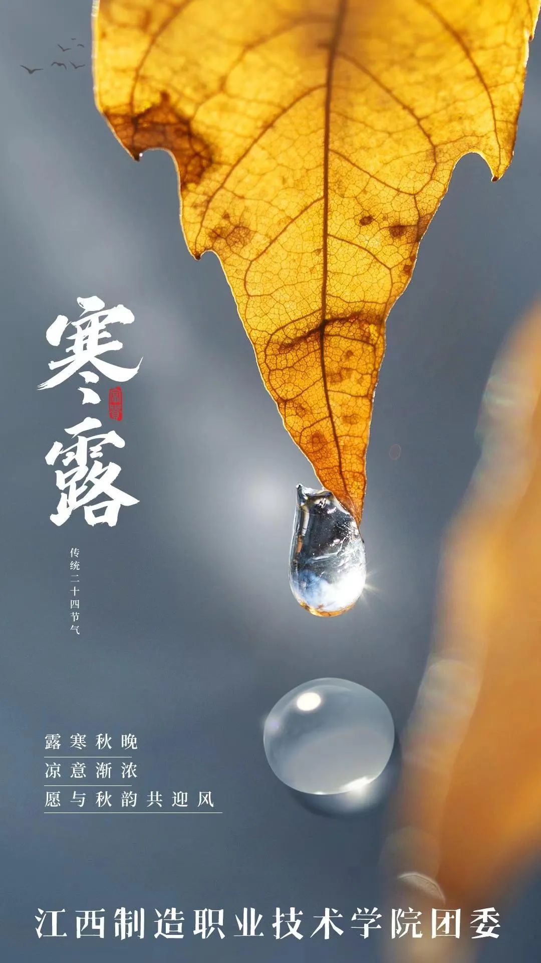 17.寒露