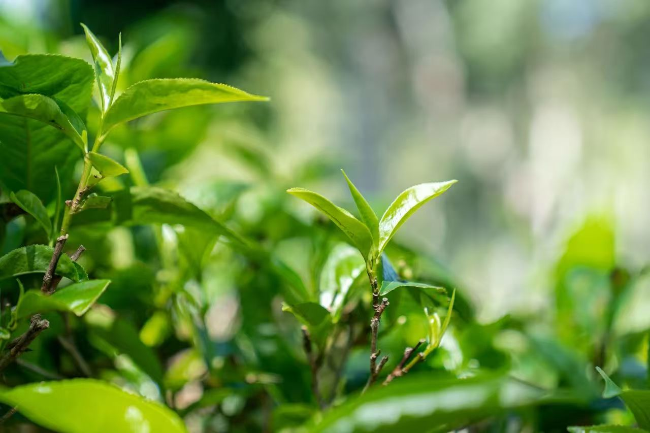 微信图片_20250428161420.png 微信图片_20250428161420.png