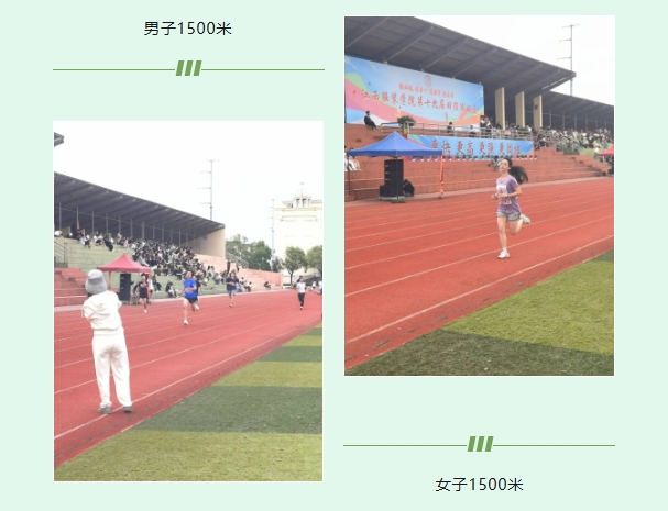 微信截图_20250428104148.png