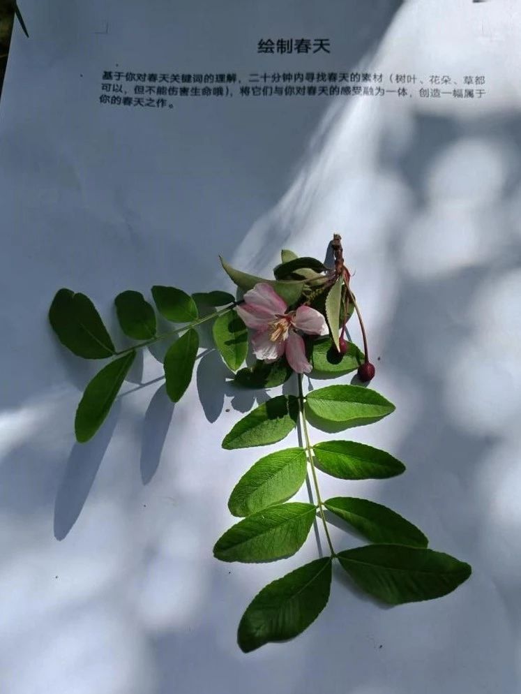 微信图片_20250428092102.jpg