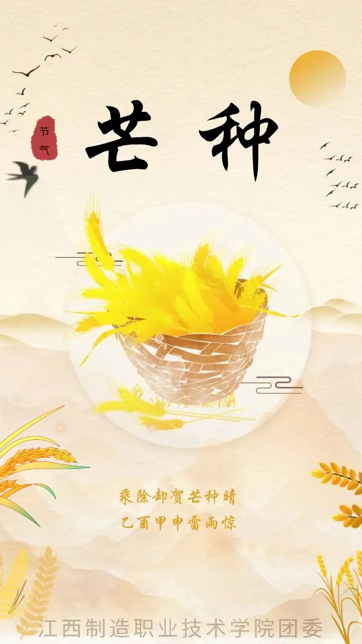 9.芒种