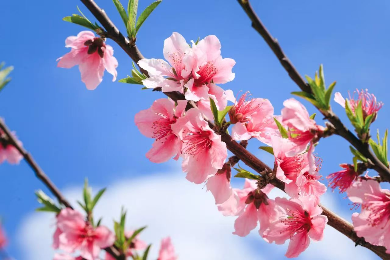 微信图片_20250428161416.png 微信图片_20250428161416.png