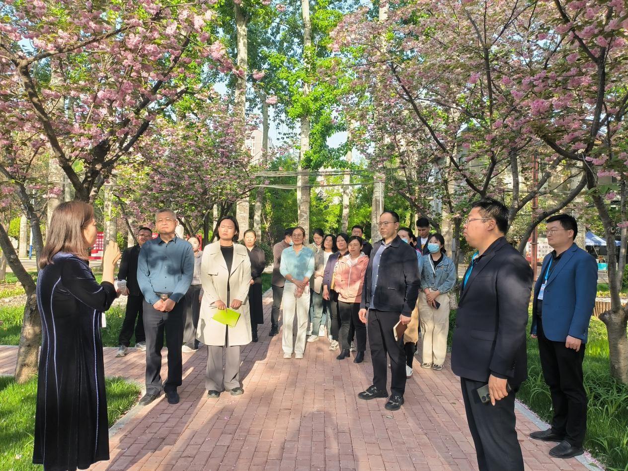 图片13.jpg