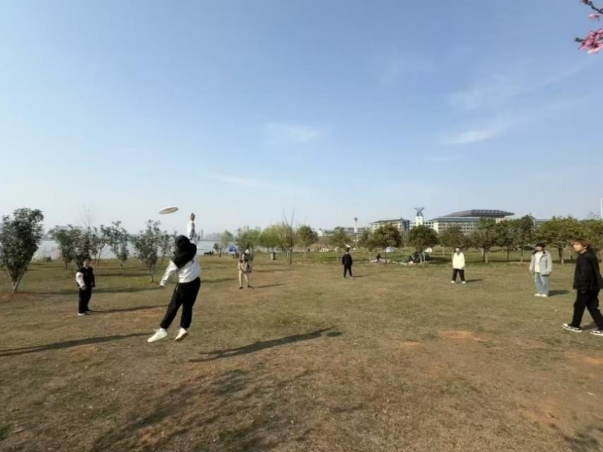 图片 8.png