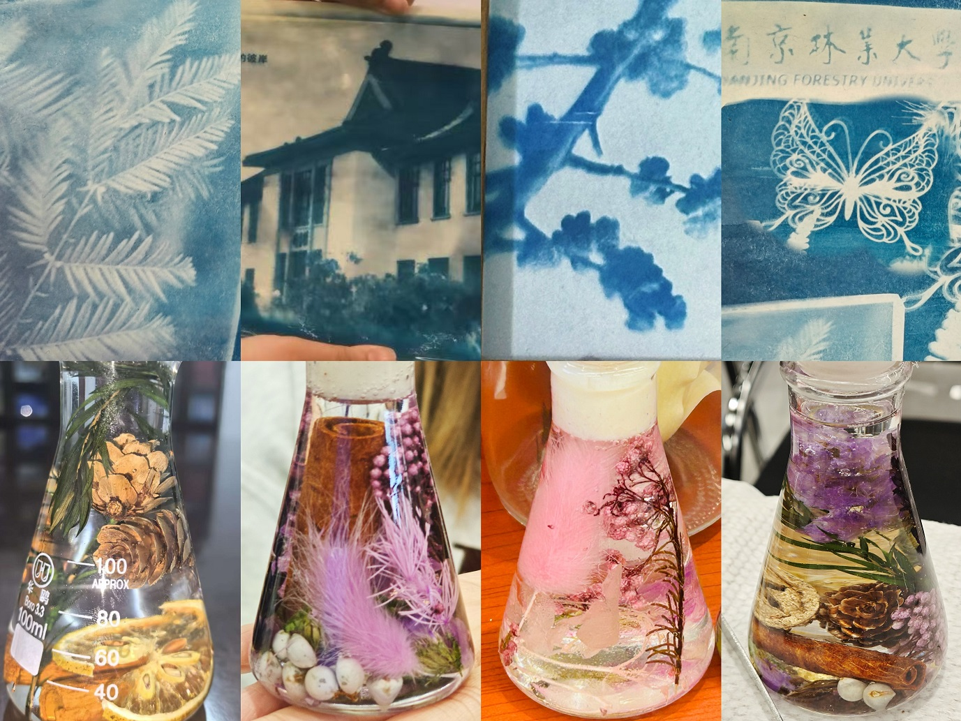 青蓝实践活动现场图3.png 青蓝实践活动现场图3.png