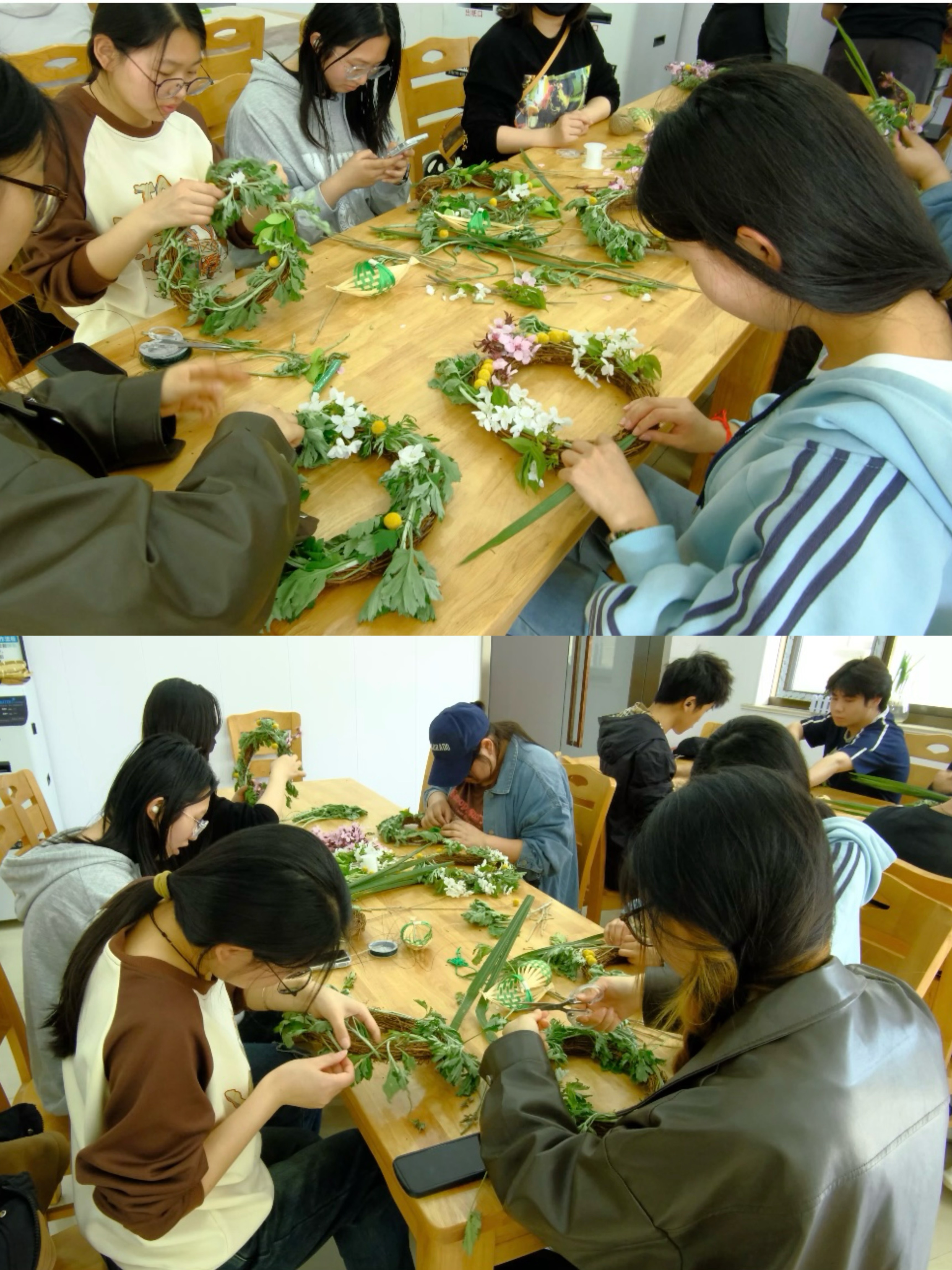 图片6.jpg 图片6.jpg