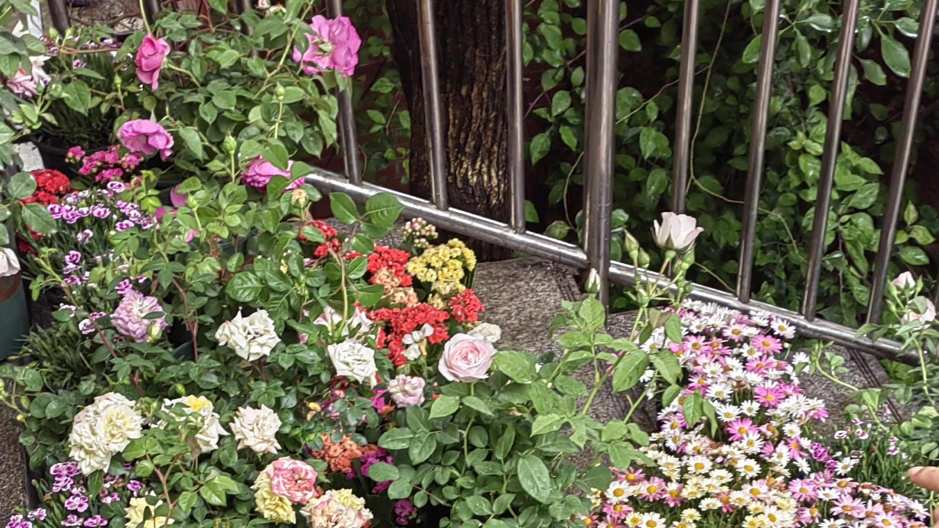 34ca01d8-5f91-45c4-aeab-83e5abac180b.jpg 34ca01d8-5f91-45c4-aeab-83e5abac180b.jpg