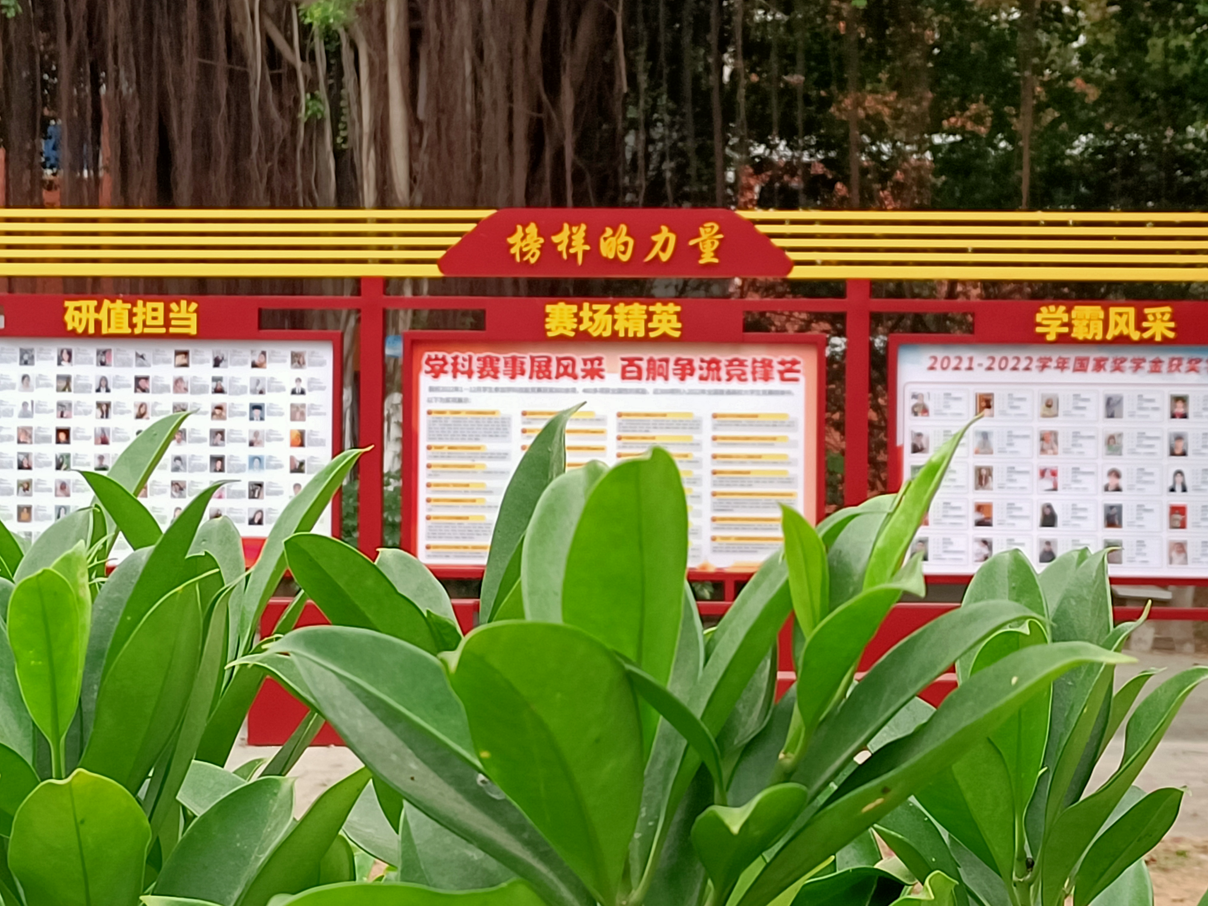 选树校园先进典型宣传栏(C区6号楼前小广场).jpg 选树校园先进典型宣传栏(C区6号楼前小广场).jpg