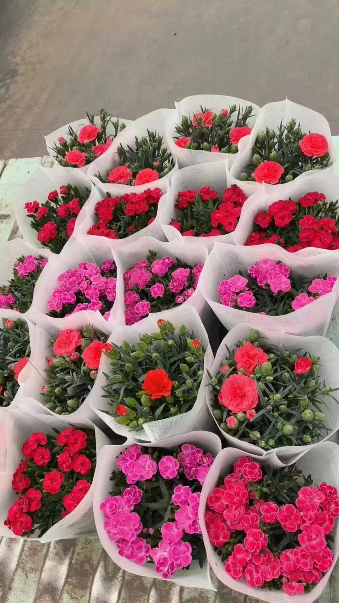 fcacec00-17fe-40be-992d-d838d1e13700.jpg fcacec00-17fe-40be-992d-d838d1e13700.jpg