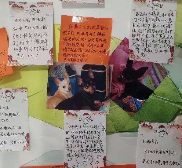 微信图片_20250429192721.jpg