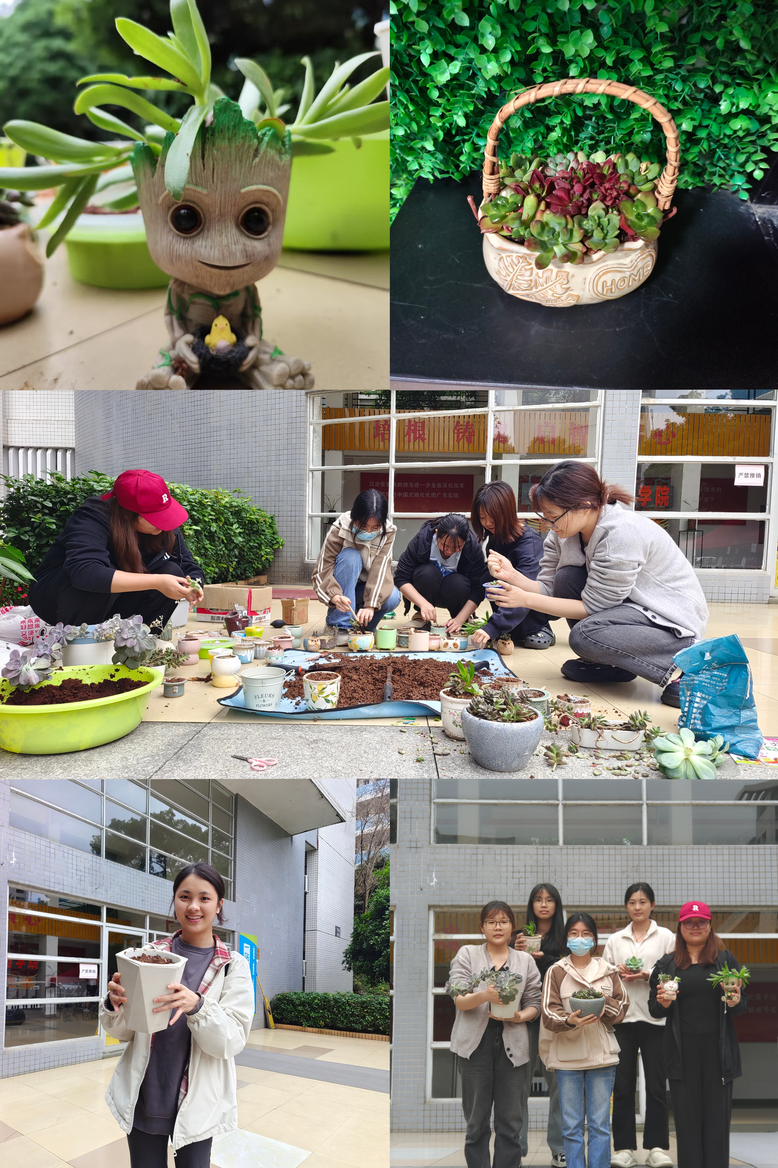 多肉安家1.jpg 多肉安家1.jpg