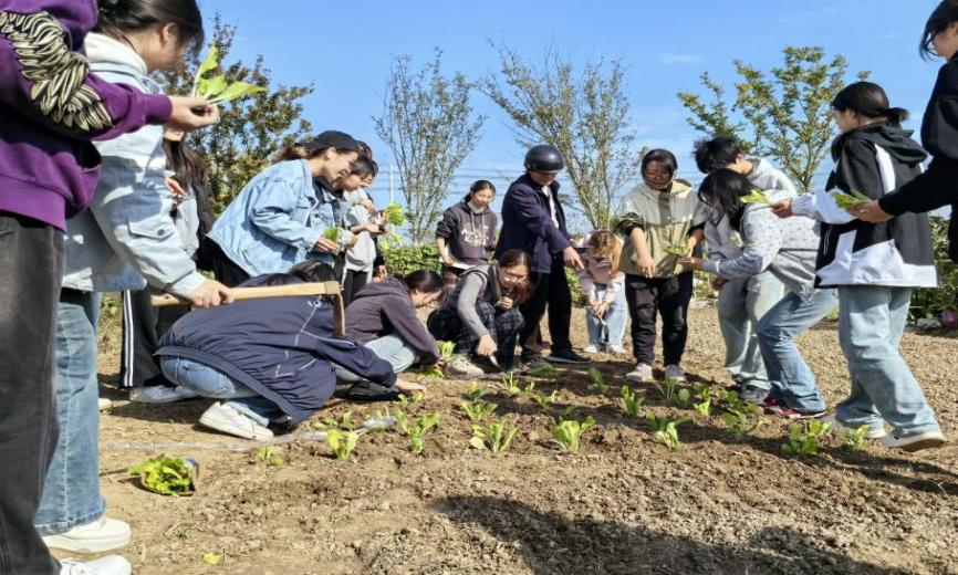 同学们在村民的指导下种植蔬菜.png