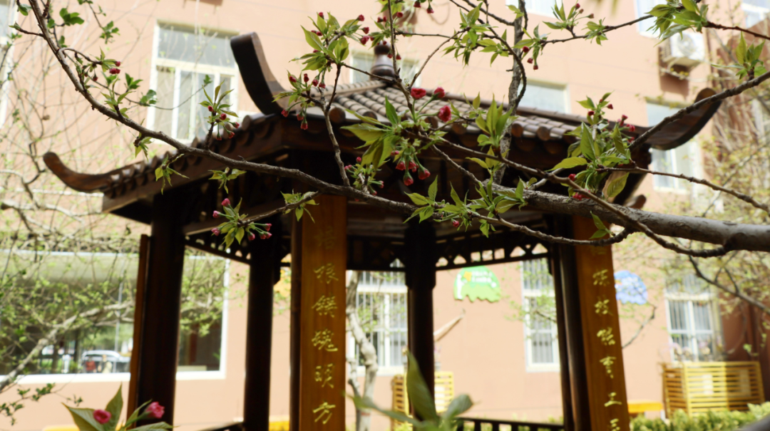 微信图片_20250429162647.png 微信图片_20250429162647.png