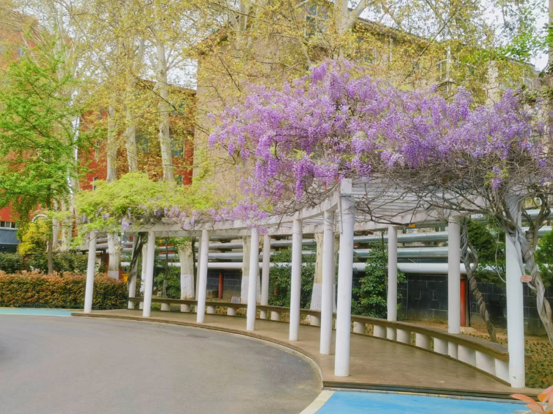 微信图片_20250429162708.png 微信图片_20250429162708.png