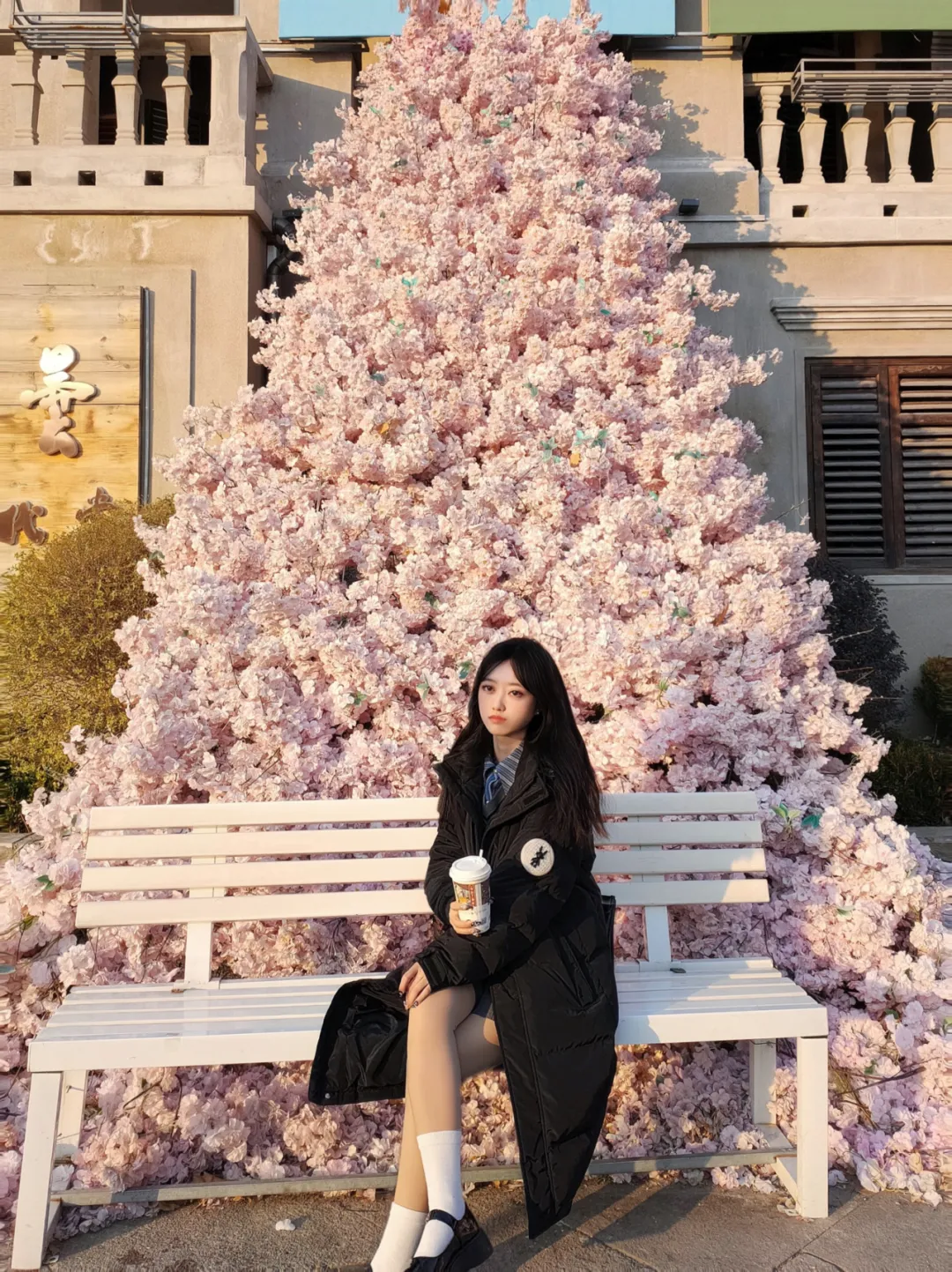 图片4.png 图片4.png