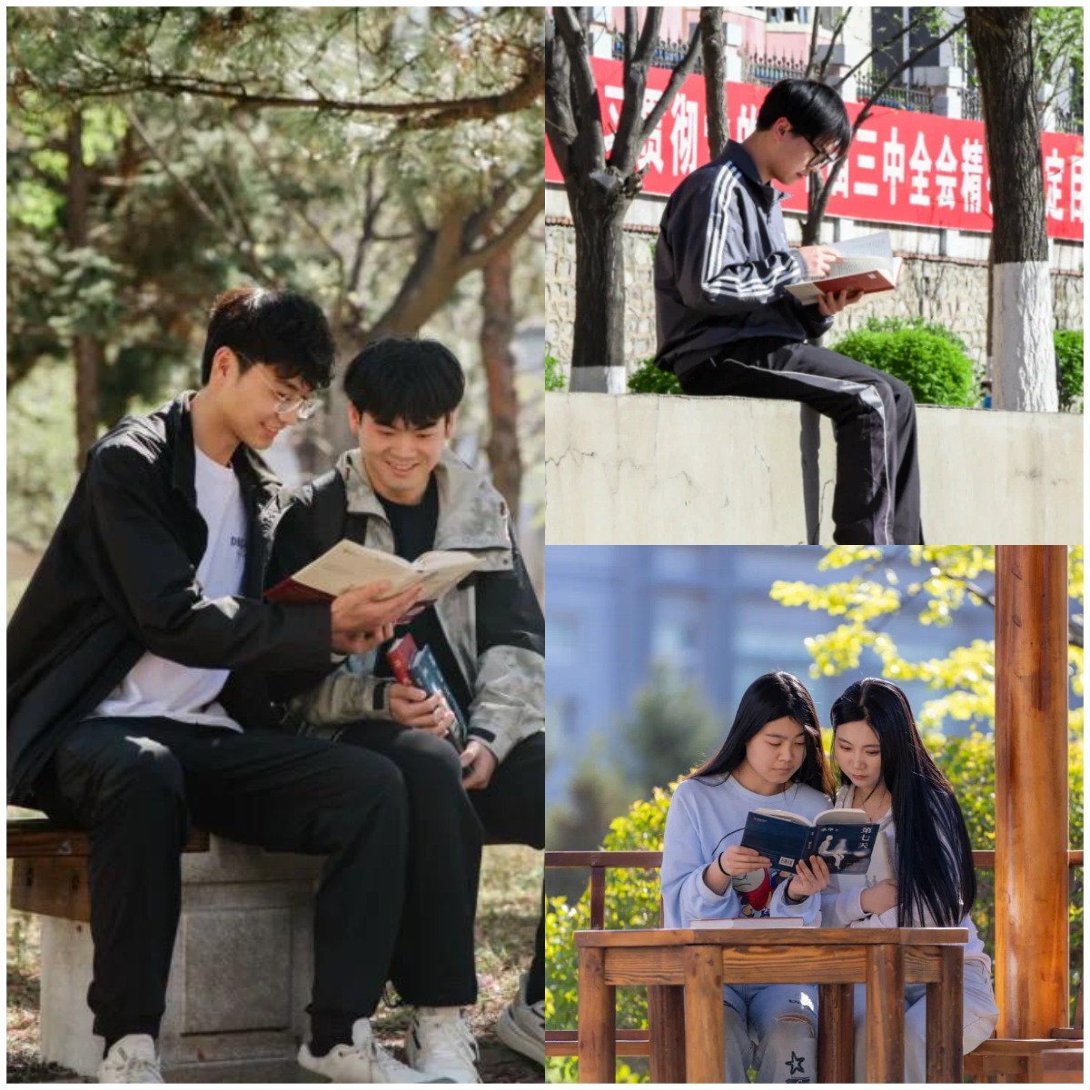 WPS拼图2.png WPS拼图2.png