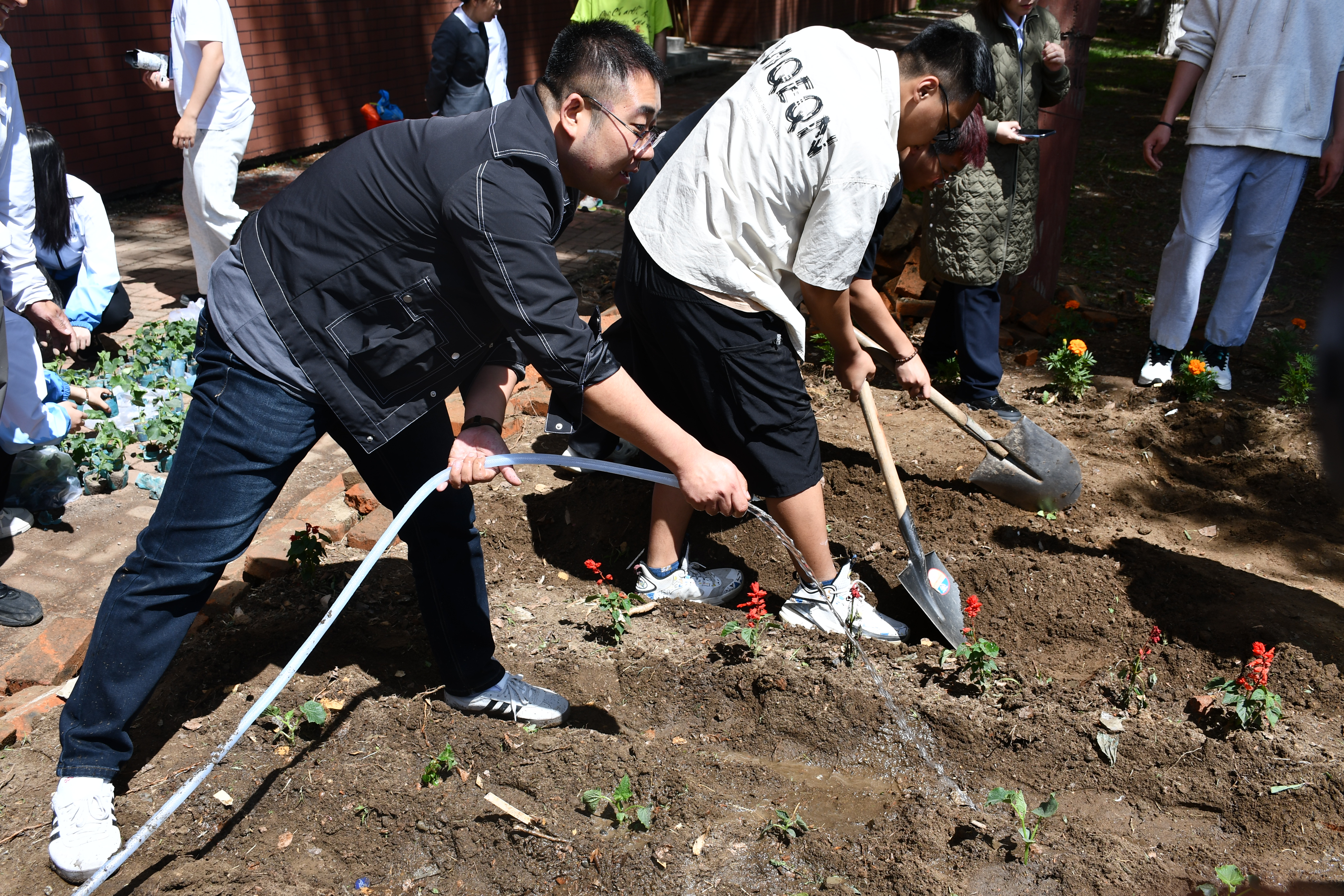 DSC_1869.JPG DSC_1869.JPG