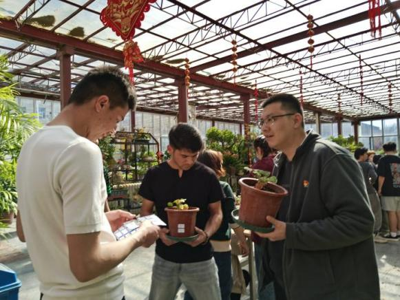 图片30.png 图片30.png