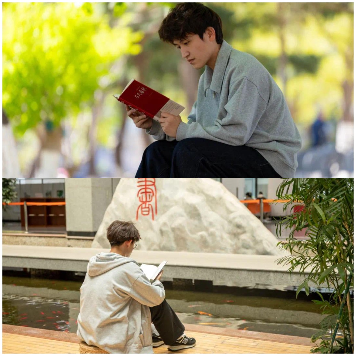 WPS拼图03.png WPS拼图03.png