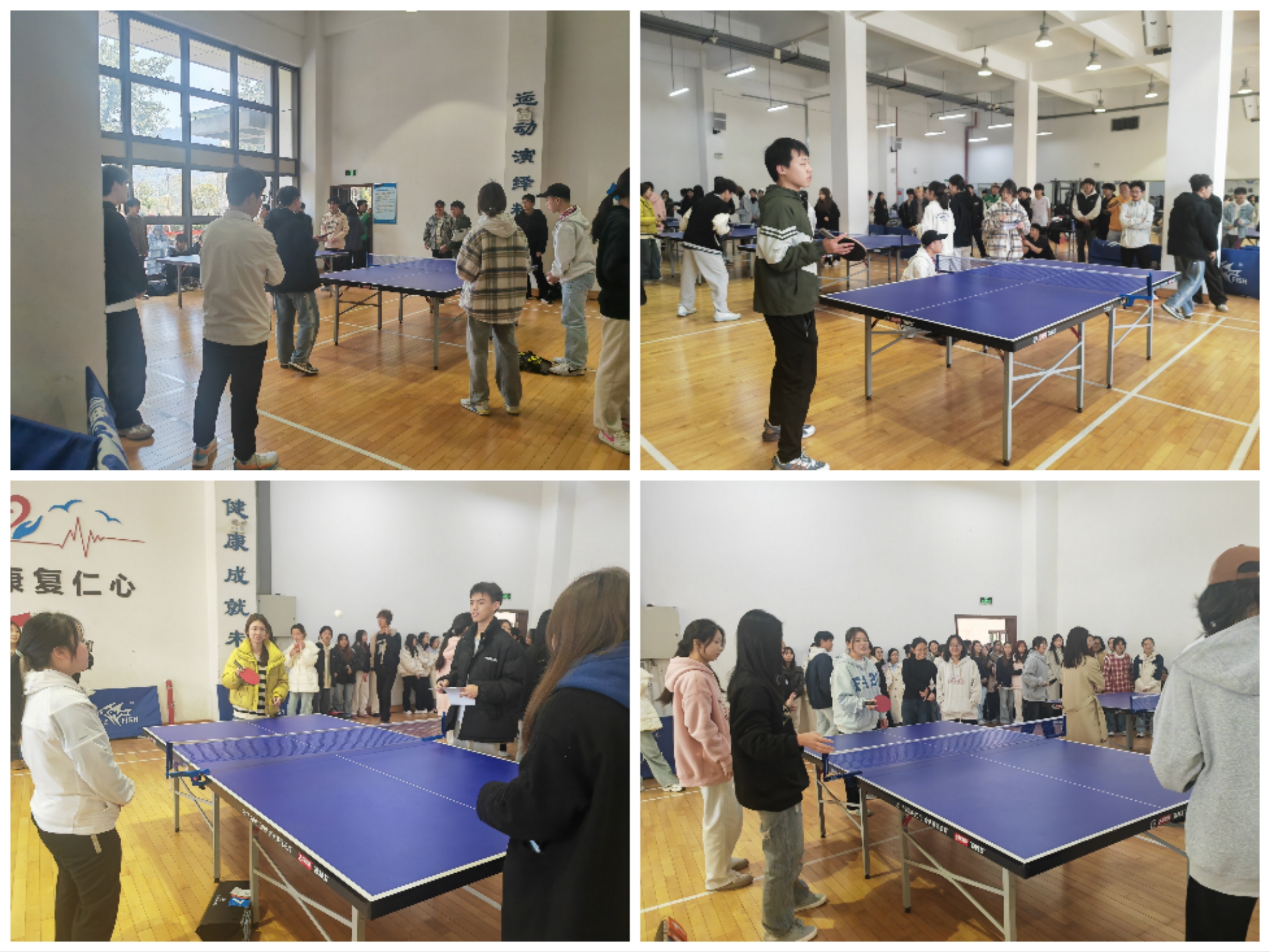 Collage_20250429_211658.jpg