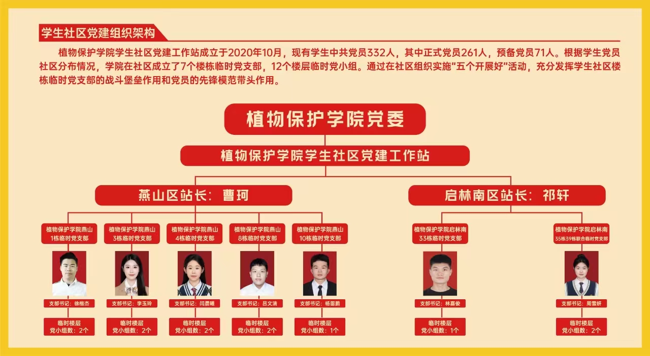 2 社区党建组织架构图.jpg 2 社区党建组织架构图.jpg