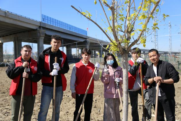 图片95.png 图片95.png