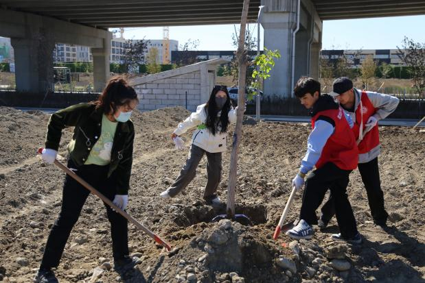 图片92.png 图片92.png