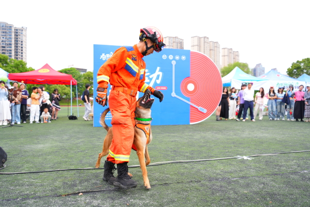 c30c61ee-a6d5-4aba-88b6-f4e5c56d5018.jpg